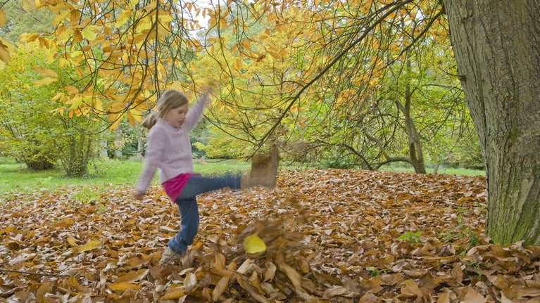 A blurred image of a young girl with one leg raised having kicked through leaves.